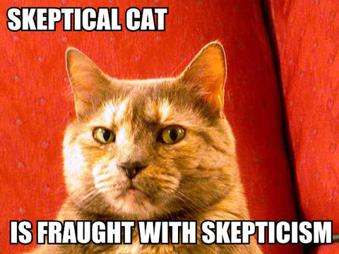Skeptical cat is fraught with skepticism.